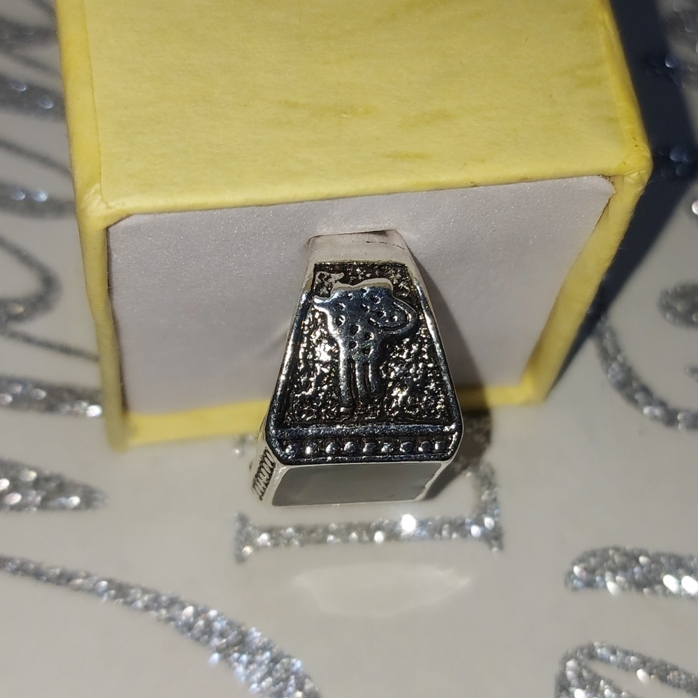 Silver Ring - Picture 8 of 9